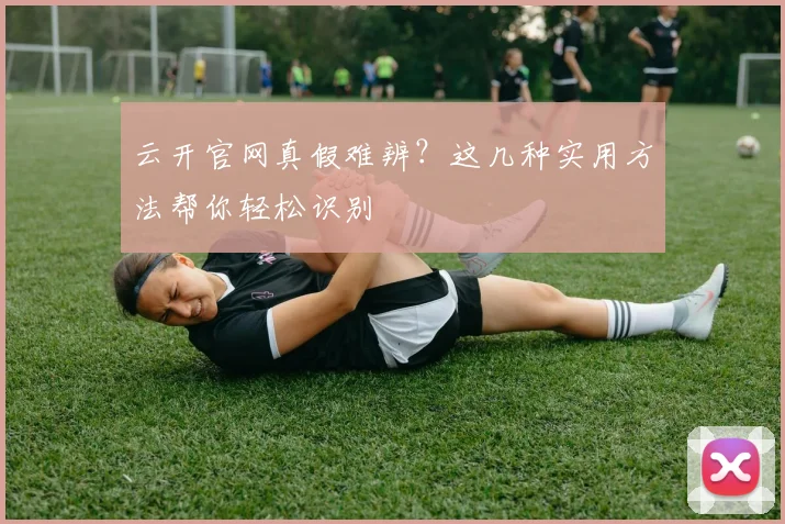 云开官网真假难辨?这几种实用方法帮你轻松识别