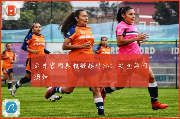 云开官网真假链接对比：安全访问须知