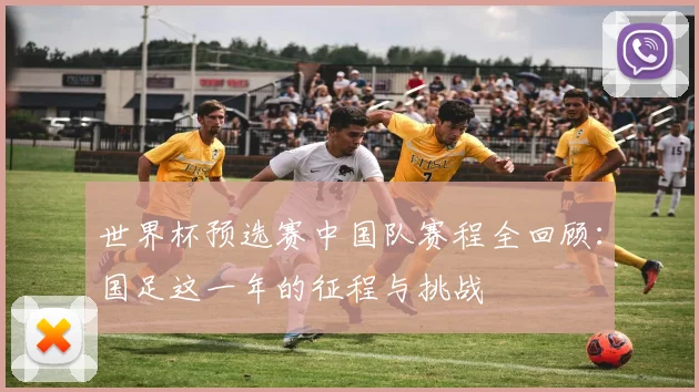世界杯预选赛中国队赛程全回顾：国足这一年的征程与挑战